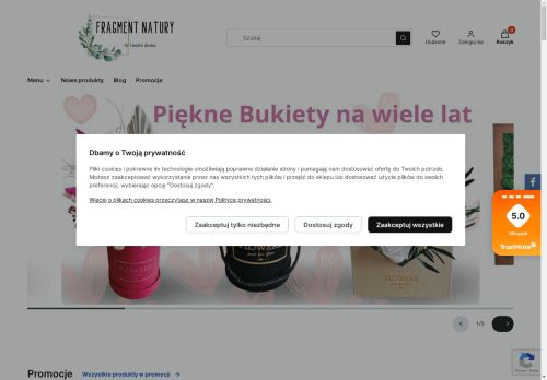 FRAGMENT NATURY DAWID JAROSZ